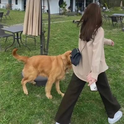 古装传奇